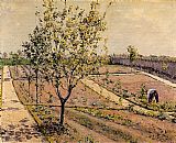 Gustave Caillebotte Paintings - Kitchen Garden, Petit Gennevilliers by Gustave Caillebotte